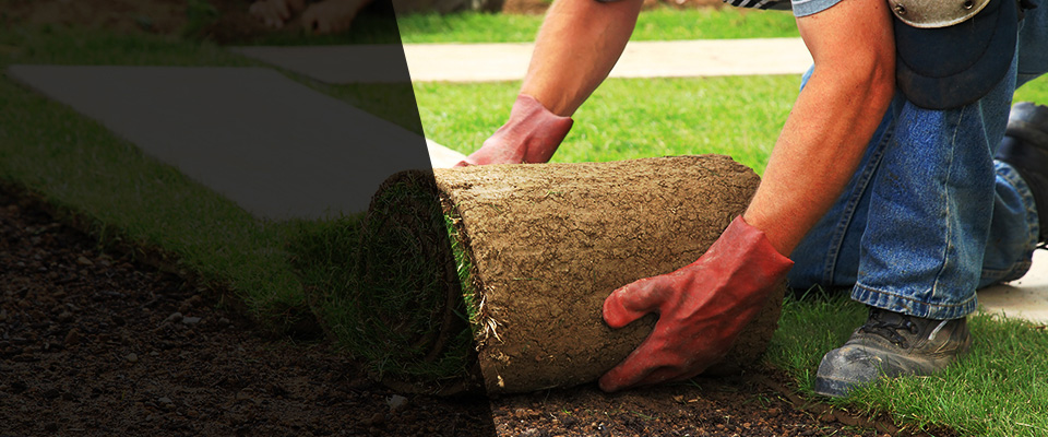 Prince George Landscapers