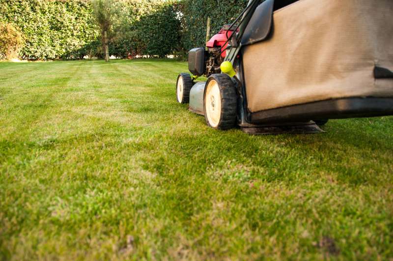 Fence Services